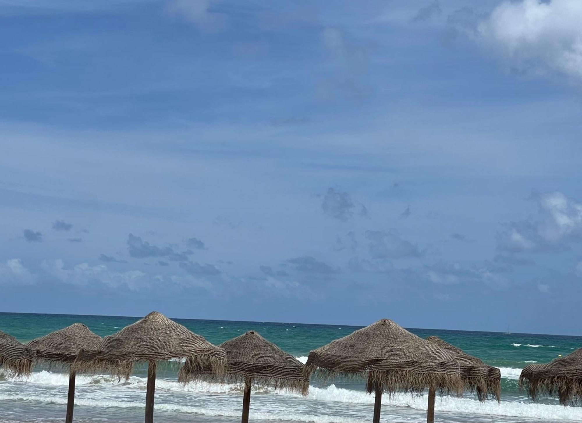 Beach Apartament In ตอร์เรเวียคา ภายนอก รูปภาพ